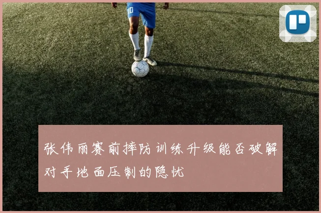 张伟丽赛前摔防训练升级能否破解对手地面压制的隐忧
